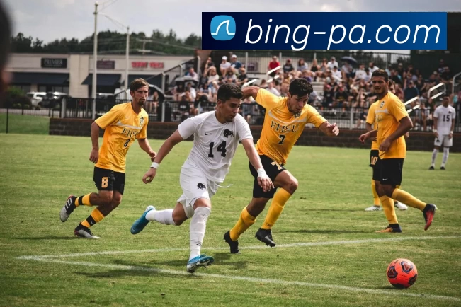 PA真人发展历程